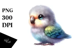 Cute Baby Parrot, Transparent PNG Product Image 1