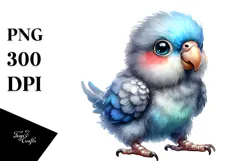Cute Baby Parrot, Transparent PNG Product Image 1