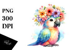 Cute Cartoon-Style Macaw PNG Product Image 1