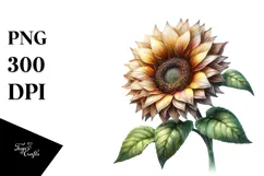 Sunflower Made of , Transparent PNG Product Image 1