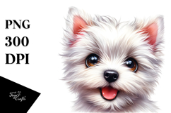 Baby West Highland White Terrier, White Background Product Image 1