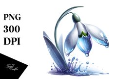 Detailed Glossy Snowdrop Clipart Product Image 3