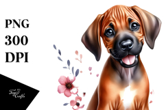 Happy Baby Rhodesian Ridgeback PNG Product Image 1