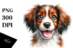 Creative Baby Brittany PNG Product Image 1