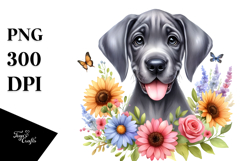 Happy Cute Great Dane PNG Product Image 1
