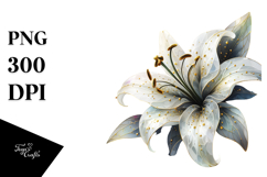 Sublimation|Clipart Product Image 1