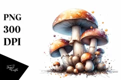 Detailed Glossy Mushroom Splashes PNG Product Image 3