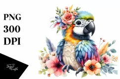 Colorful Smiling Cute Baby Macaw | Sublimation | Clipart Product Image 3