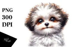 Happy Baby Bichpoo PNG Product Image 1