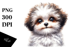 Happy Baby Bichpoo PNG Product Image 1