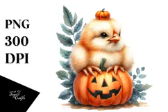 Cute Baby Chicken Sitting with Pumpkin, Transparent PNG Product Image 1