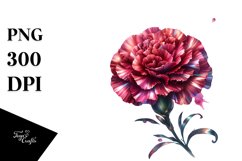 Glossy Shiny Carnation Splash Product Image 3