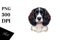 Colorful English Springer Spaniel Clipart Product Image 3