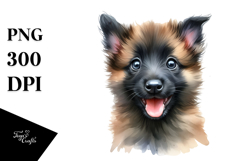 Baby Malinois with Crazy Fur, Transparent PNG Product Image 1