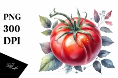 Watercolor Vintage Hat Tomato Clipart Product Image 3