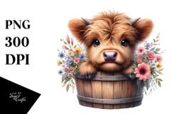 Cute Baby Highland Cow Bucket Sunflower PNG Product Image 1