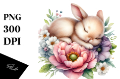 Sublimation|Clipart Product Image 1