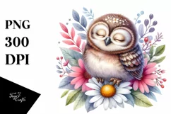 Colorful Baby Owl Watercolor Clipart Product Image 1