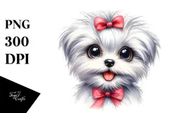 Happy Baby Maltese with Big Eyes PNG Product Image 1