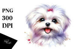Happy Baby Maltese with Big Eyes PNG Product Image 1