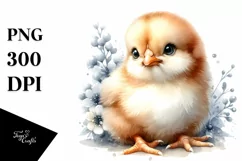 Cute Baby Chicken with Big Eyes PNG Product Image 1
