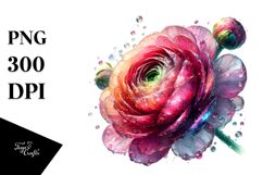 Shiny Ranunculus Watercolor Splash | Sublimation Clipart Product Image 1