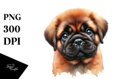 Happy Baby Bulldog, Transparent PNG Product Image 1