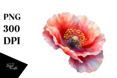Poppy Watercolor Splash PNG Product Image 1