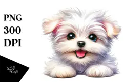 Watercolor Baby Maltese PNG Product Image 1