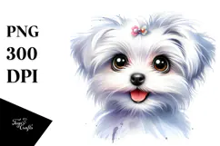 Watercolor Baby Maltese PNG Product Image 1
