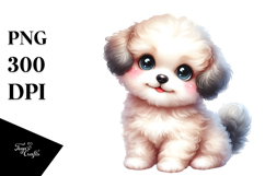 Cute Baby Bichpoo Product Image 1