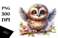 Baby Owl in Watercolor PNG Product Image 1
