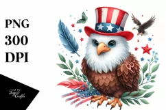 USA, 4th July, Patriotic, Eagle Clipart Product Image 8