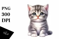 Cute Baby Cat with Big Eyes PNG Product Image 3