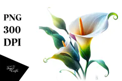 Calla Lily Watercolor Splash PNG Product Image 1