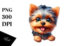Funny Crazy Yorkshire Terrier | Sublimation | Clipart Product Image 3