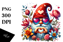 Detailed Gnome with Heart Sunglasses Product Image 1