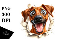 Funny Crazy Rhodesian Ridgeback | Sublimation | Clipart Product Image 1