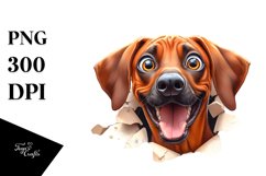 Crazy Rhodesian Ridgeback Watercolor Sticker Product Image 1