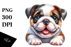 Happy Baby Bulldog, Transparent PNG Product Image 1