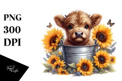 Cute Baby Highland Cow with Sunflower Bucket, PNG Product Image 3