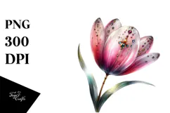 Tulip with Watercolor Splash PNG Product Image 1