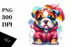 Expressive Baby Bulldog with Raincoat PNG Product Image 1
