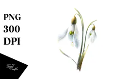 Snowdrop with Golden Insertions, High-Res PNG Product Image 1