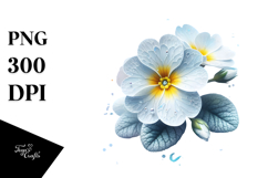 Primrose PNG Product Image 1