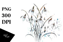 Colorful Snowdrop, High-Res PNG Product Image 1