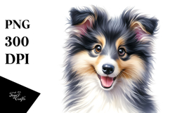 Happy Baby Collie PNG Product Image 1