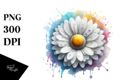 Daisy PNG Product Image 1