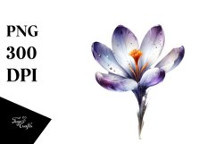 Watercolor Splash Glossy Crocus | Sublimation | Clipart Product Image 3