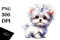 Cute Maltese, Transparent PNG Product Image 1